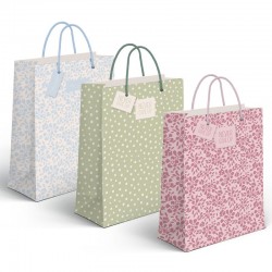 Bolsas de Papel Regalo x3...