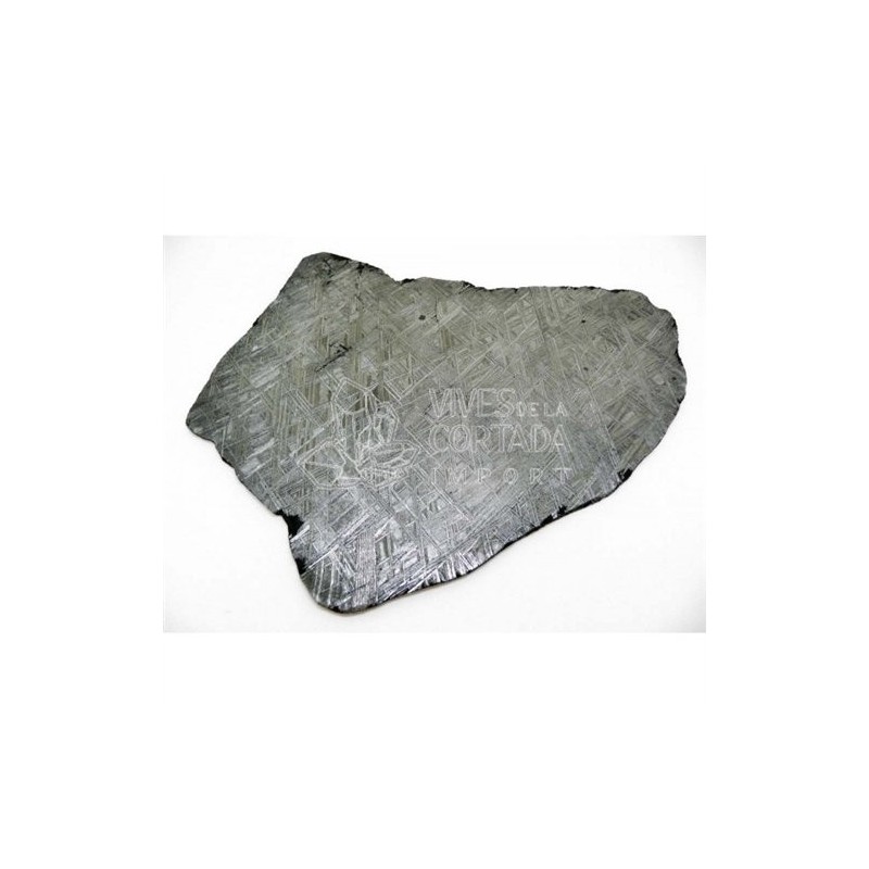Meteorito Ferrico con estructura Widmanstätten 2