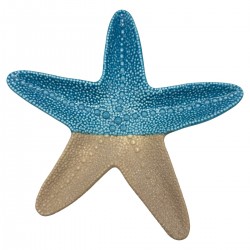 Estrella de Mar Decorativa...