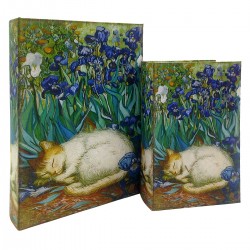 Caja Libro Decorativa x2...