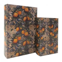 Caja Libro Decorativa x2...