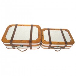 Cajas Almacenamiento x2...