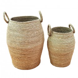 Cestas de Seagrass-Alga...