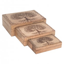 Cajas de Madera x3 Árbol de...