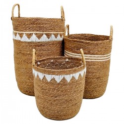 Cestas de Jacinto de Agua...