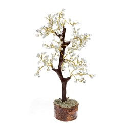 Árbol De Aguamarina Pequeño...