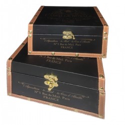 Set de 2 Caja Maleta Plana...