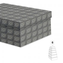 Juego de 6 cajas de Carton...