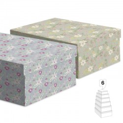 Cajas de Regalo con Tapa x2...