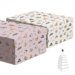 Cajas de Cartón con Tapa x2...