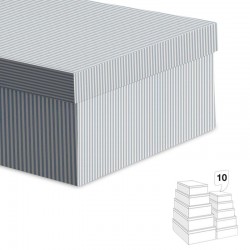Caja de Cartón con Tapa...