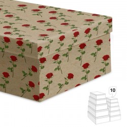 Cajas de Cartón con Tapa...