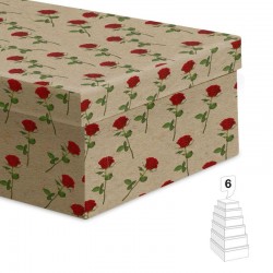 Cajas de Cartón Kraft con...