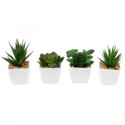 ROCKING GIFTS Set de x4...