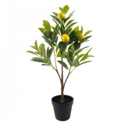 Árbol Limonero Pequeño De...